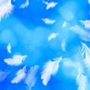 ヒメ日記 2026/01/15 16:14 投稿 菅野 MadameRest(マダムレスト)