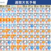 ヒメ日記 2026/01/22 17:36 投稿 菅野 MadameRest(マダムレスト)