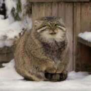 ヒメ日記 2026/02/22 17:57 投稿 菅野 MadameRest(マダムレスト)