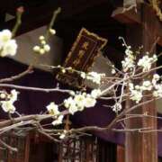 ヒメ日記 2026/03/03 18:26 投稿 菅野 MadameRest(マダムレスト)