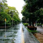 ヒメ日記 2026/03/25 17:39 投稿 菅野 MadameRest(マダムレスト)