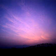 ヒメ日記 2026/04/03 18:07 投稿 菅野 MadameRest(マダムレスト)