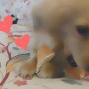 ヒメ日記 2024/12/23 14:24 投稿 戸郷 MadameRest(マダムレスト)