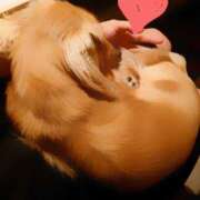 ヒメ日記 2024/12/29 14:25 投稿 戸郷 MadameRest(マダムレスト)