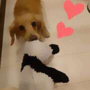 ヒメ日記 2025/01/06 16:26 投稿 戸郷 MadameRest(マダムレスト)