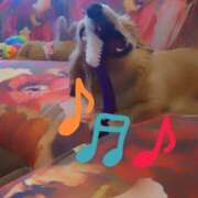 ヒメ日記 2025/01/10 13:55 投稿 戸郷 MadameRest(マダムレスト)