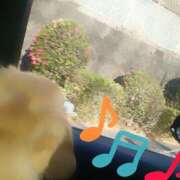 ヒメ日記 2025/01/21 16:13 投稿 戸郷 MadameRest(マダムレスト)