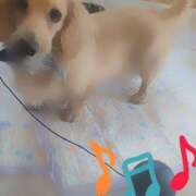 ヒメ日記 2025/02/01 12:14 投稿 戸郷 MadameRest(マダムレスト)