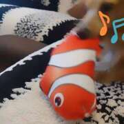 ヒメ日記 2025/02/02 21:59 投稿 戸郷 MadameRest(マダムレスト)