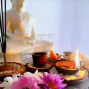 ヒメ日記 2025/02/15 16:25 投稿 戸郷 MadameRest(マダムレスト)