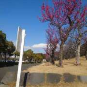 ヒメ日記 2025/02/18 09:31 投稿 戸郷 MadameRest(マダムレスト)