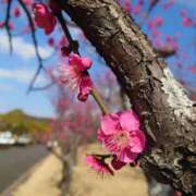 ヒメ日記 2025/02/18 09:54 投稿 戸郷 MadameRest(マダムレスト)