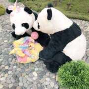 ヒメ日記 2025/03/05 11:54 投稿 戸郷 MadameRest(マダムレスト)