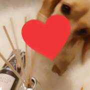 ヒメ日記 2025/03/08 10:33 投稿 戸郷 MadameRest(マダムレスト)