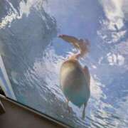 ヒメ日記 2025/03/09 09:38 投稿 戸郷 MadameRest(マダムレスト)