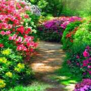 ヒメ日記 2025/03/13 11:15 投稿 戸郷 MadameRest(マダムレスト)