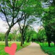 ヒメ日記 2025/03/17 11:22 投稿 戸郷 MadameRest(マダムレスト)