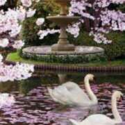 ヒメ日記 2025/03/29 09:58 投稿 戸郷 MadameRest(マダムレスト)