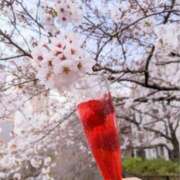 ヒメ日記 2025/03/31 12:52 投稿 戸郷 MadameRest(マダムレスト)