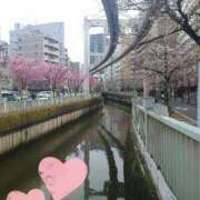 ヒメ日記 2025/04/02 11:29 投稿 戸郷 MadameRest(マダムレスト)