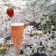 ヒメ日記 2025/04/03 10:25 投稿 戸郷 MadameRest(マダムレスト)