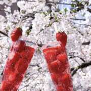 ヒメ日記 2025/04/10 09:29 投稿 戸郷 MadameRest(マダムレスト)