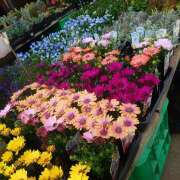 ヒメ日記 2025/04/11 11:59 投稿 戸郷 MadameRest(マダムレスト)