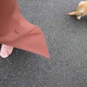 ヒメ日記 2025/04/12 11:14 投稿 戸郷 MadameRest(マダムレスト)