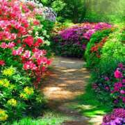 ヒメ日記 2025/04/18 11:52 投稿 戸郷 MadameRest(マダムレスト)