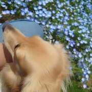 ヒメ日記 2025/04/28 11:49 投稿 戸郷 MadameRest(マダムレスト)