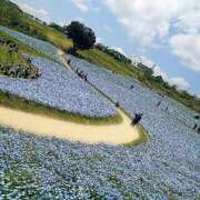 ヒメ日記 2025/04/29 08:43 投稿 戸郷 MadameRest(マダムレスト)