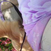 ヒメ日記 2025/04/30 13:49 投稿 戸郷 MadameRest(マダムレスト)