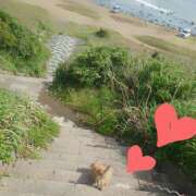 ヒメ日記 2025/05/12 11:14 投稿 戸郷 MadameRest(マダムレスト)