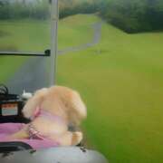 ヒメ日記 2025/05/19 11:30 投稿 戸郷 MadameRest(マダムレスト)