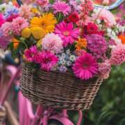 ヒメ日記 2025/05/24 13:04 投稿 戸郷 MadameRest(マダムレスト)