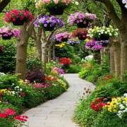 ヒメ日記 2025/06/17 14:03 投稿 戸郷 MadameRest(マダムレスト)