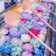 ヒメ日記 2025/06/19 12:24 投稿 戸郷 MadameRest(マダムレスト)