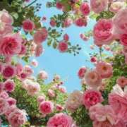 ヒメ日記 2025/06/23 11:09 投稿 戸郷 MadameRest(マダムレスト)