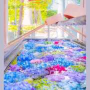 ヒメ日記 2025/06/24 13:32 投稿 戸郷 MadameRest(マダムレスト)