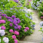 ヒメ日記 2025/06/25 12:56 投稿 戸郷 MadameRest(マダムレスト)