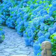 ヒメ日記 2025/06/26 13:42 投稿 戸郷 MadameRest(マダムレスト)