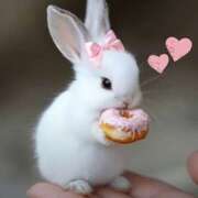 ヒメ日記 2025/07/08 13:12 投稿 戸郷 MadameRest(マダムレスト)