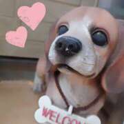 ヒメ日記 2025/07/08 15:30 投稿 戸郷 MadameRest(マダムレスト)