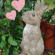 ヒメ日記 2025/07/11 11:45 投稿 戸郷 MadameRest(マダムレスト)