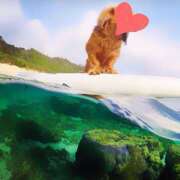 ヒメ日記 2025/07/11 14:35 投稿 戸郷 MadameRest(マダムレスト)