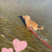 ヒメ日記 2025/07/25 09:41 投稿 戸郷 MadameRest(マダムレスト)