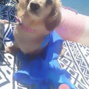 ヒメ日記 2025/07/25 11:23 投稿 戸郷 MadameRest(マダムレスト)