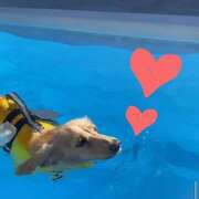 ヒメ日記 2025/07/26 13:00 投稿 戸郷 MadameRest(マダムレスト)