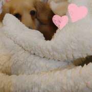 ヒメ日記 2025/08/05 13:15 投稿 戸郷 MadameRest(マダムレスト)