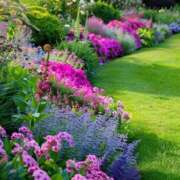 ヒメ日記 2025/08/12 13:27 投稿 戸郷 MadameRest(マダムレスト)